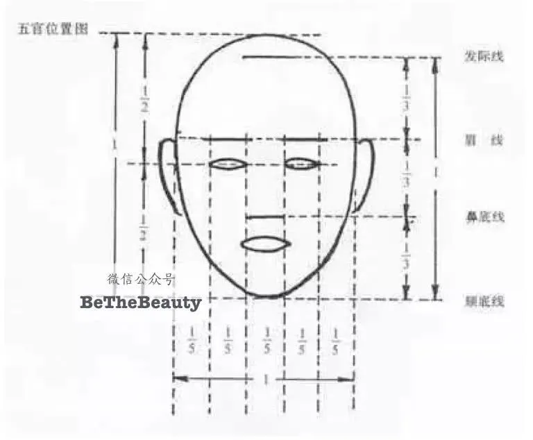 标准脸